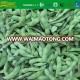 IQF frozen organic soybean