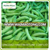 High Quality iqf frozen peapods/sweet broad pea