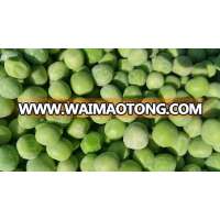 IQF Green Pea