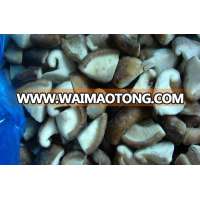 IQF frozen organicmushroom ,price of frozen mushroom