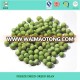 New crop Chinese frozen green pea