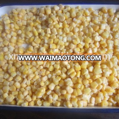 IQF sweet corn kernels