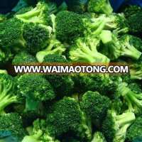 IQF Frozen Broccoli And Frozen Vegetables