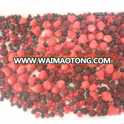 New Crop IQF mixed berries