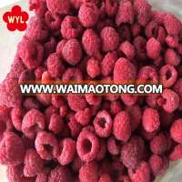 New crop market price frozen berries iqf raspberry