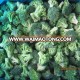 New crop IQF Broccoli Cut