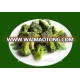 export of frozen fruit and vegetable, Frozen Broccoli Price