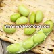 New season Top quality frozen vegetables Grade A IQF/Frozen soybean for sale