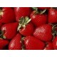 Top selling organic High-quality and sweet frozen strawberry