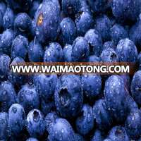 2017 crop small blueberries