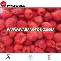 China organic red Frozen iqf raspberry